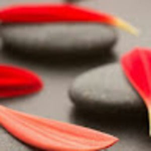 Meet your Posher, Nesem